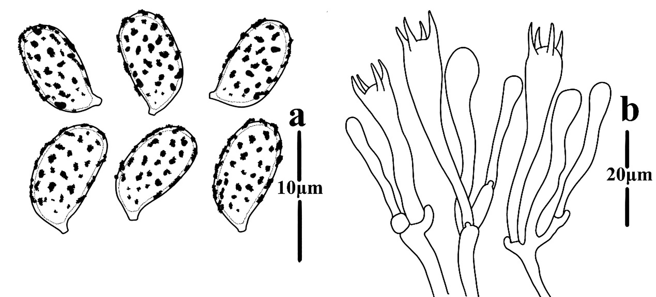 Figure 89